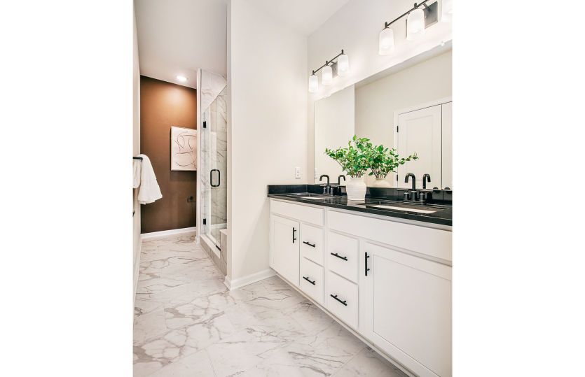 Owner's bath