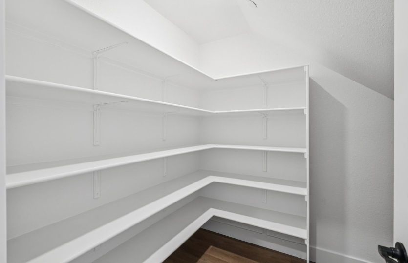 Large pantry with abundant storage