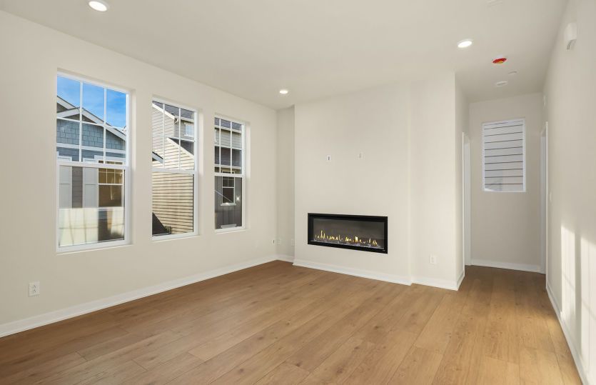 Interior Fireplace