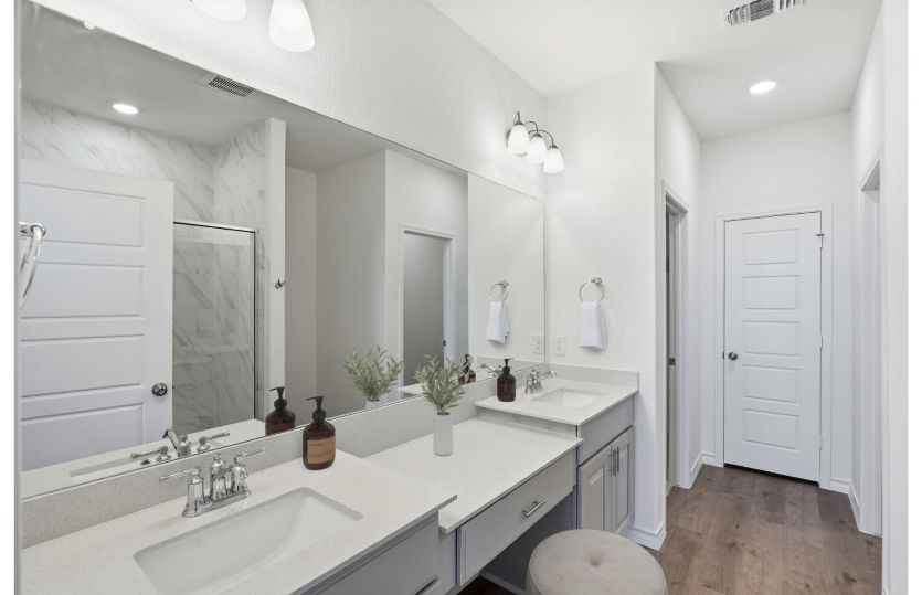 Owner's Bath