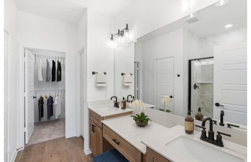 Owner's Bath