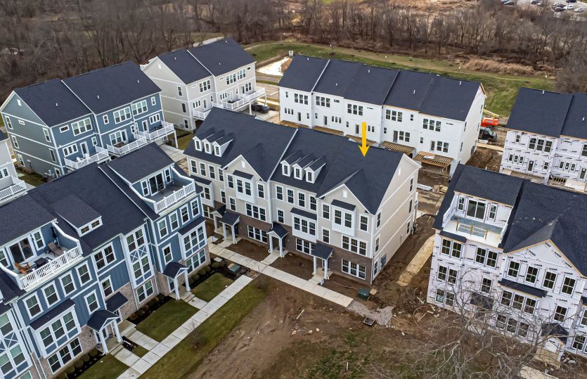 332 Pinnate Lane (Halston)