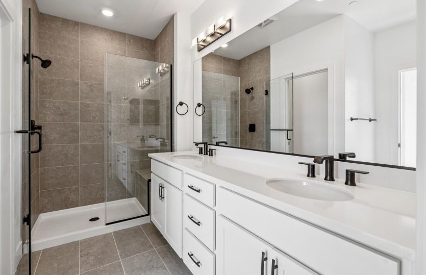 Owner's bathroom
