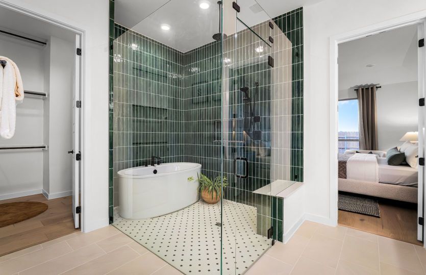 Owner's Bathroom