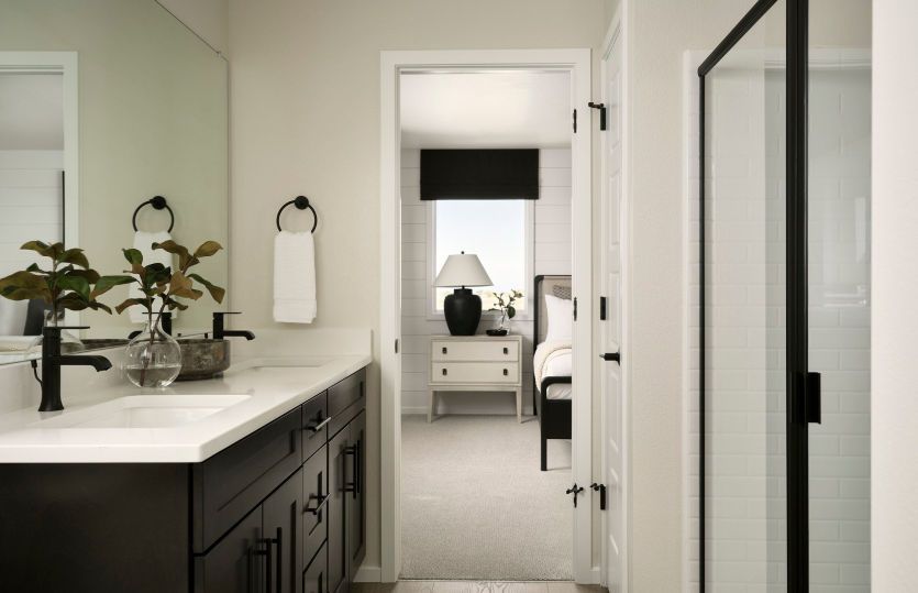 Owner's Bath