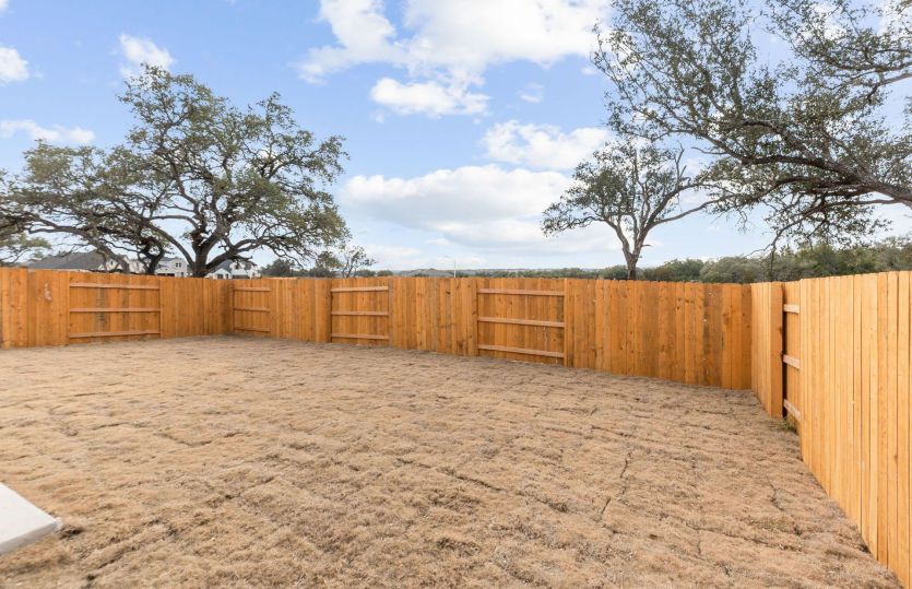 Backyard