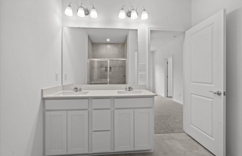 Owner's Bath