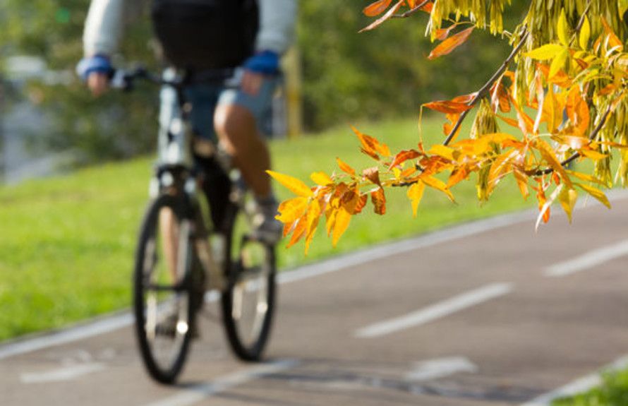 Visit the East Bay Bike Path