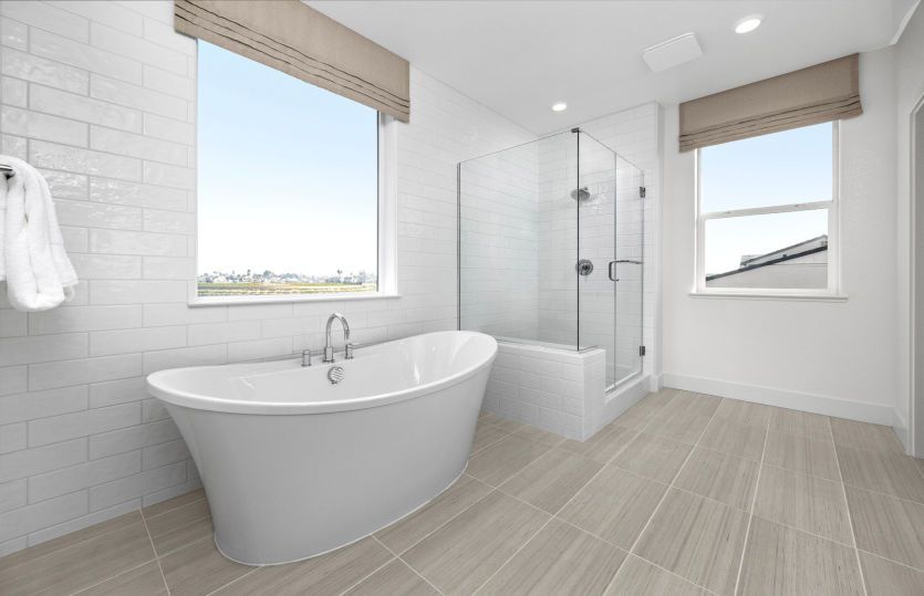 Owner's bathroom with freestanding tub and a walk-in shower