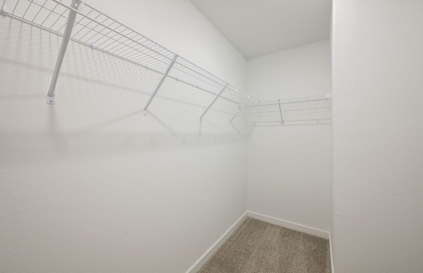 Owner's Walk-In Closet