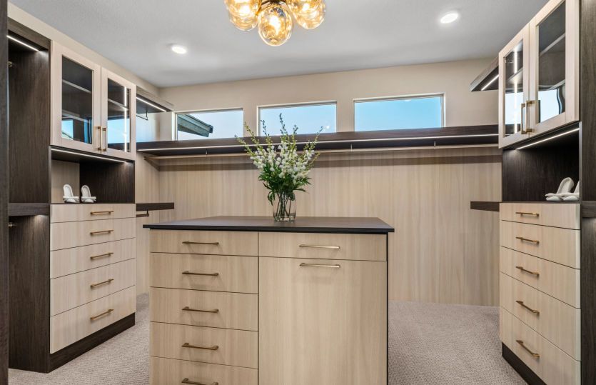 Owner's Walk-In-Closet