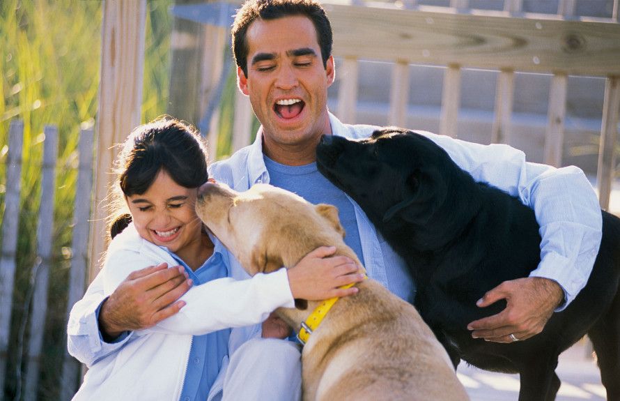 Pet Friendly