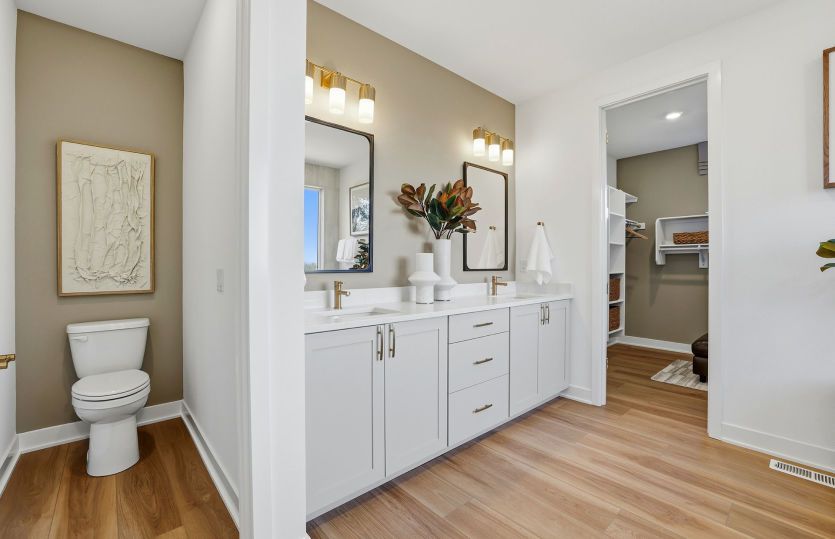 Owner's bath