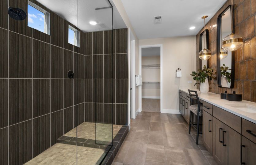 Owner's Bath