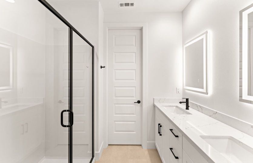 Owner's Bathroom