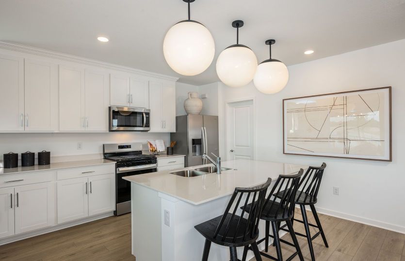 Designer Kitchen