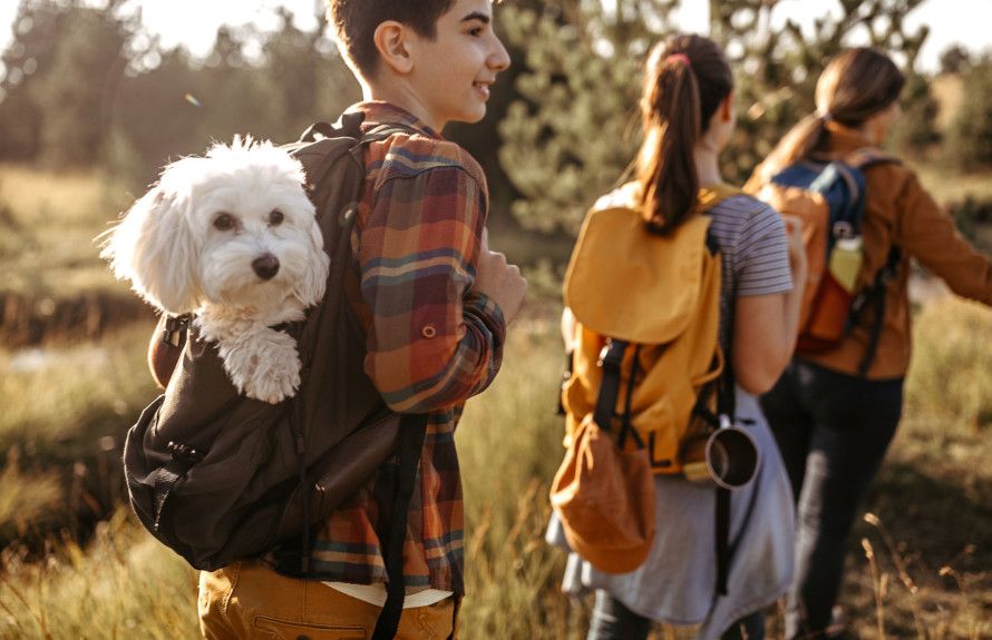 casa en Wheelock Farm por Pulte Homes