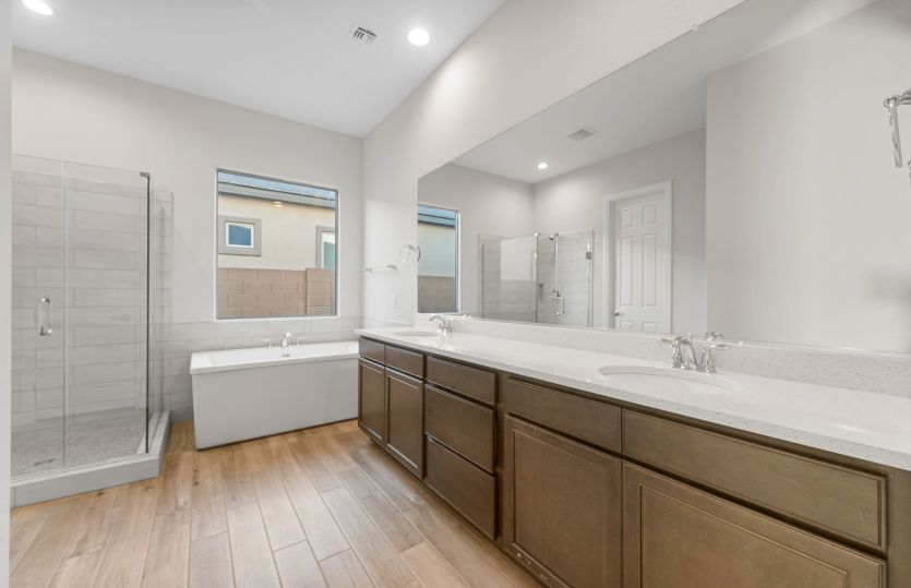 Owner's Bath