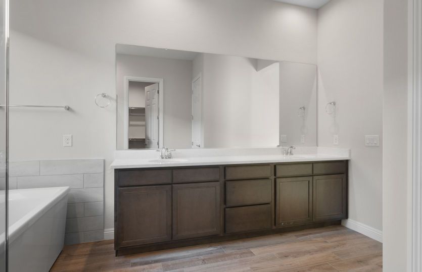 Owner's Bath