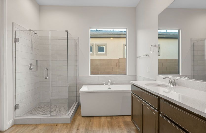 Owner's Bath