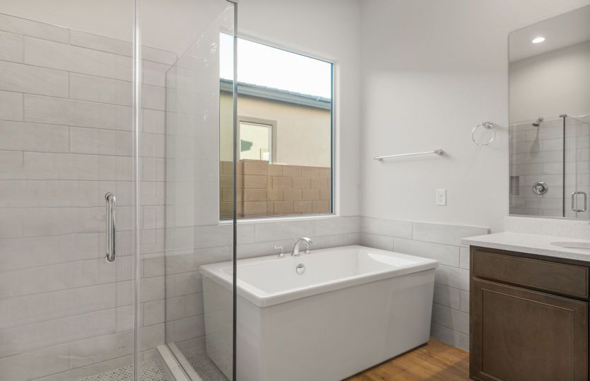Owner's Bath