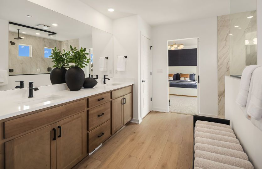 Owner's Bath