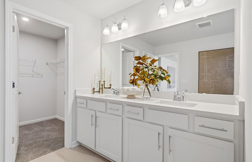 Owner's Bath