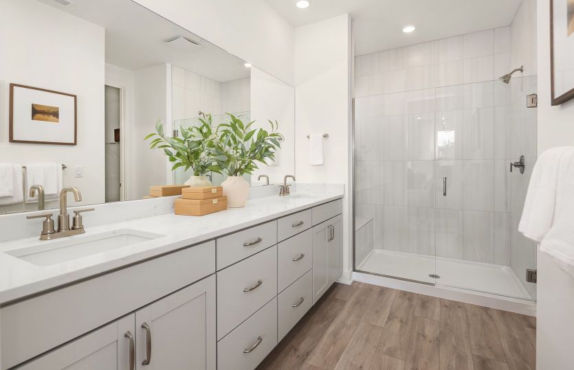 Owner's Bath