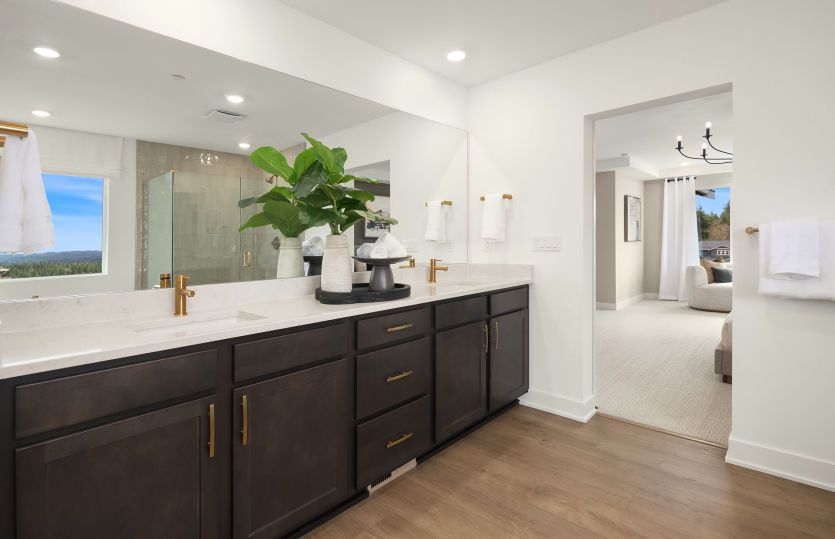 Owner's Bath