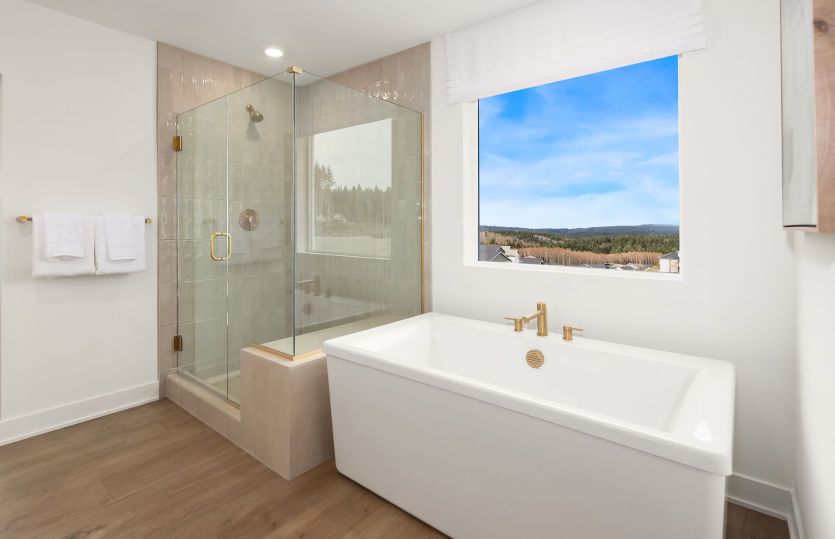 Separate Tub & Shower