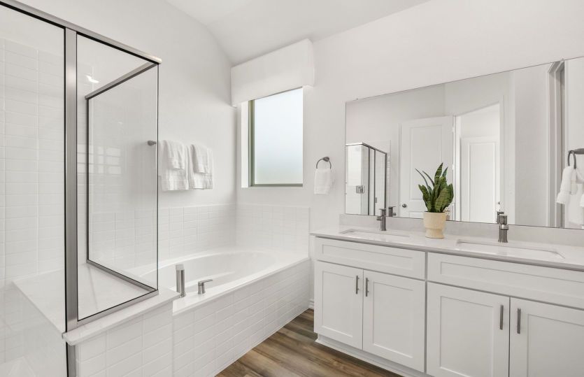 Owner's Bathroom