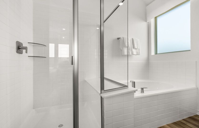 Owner's Bathroom