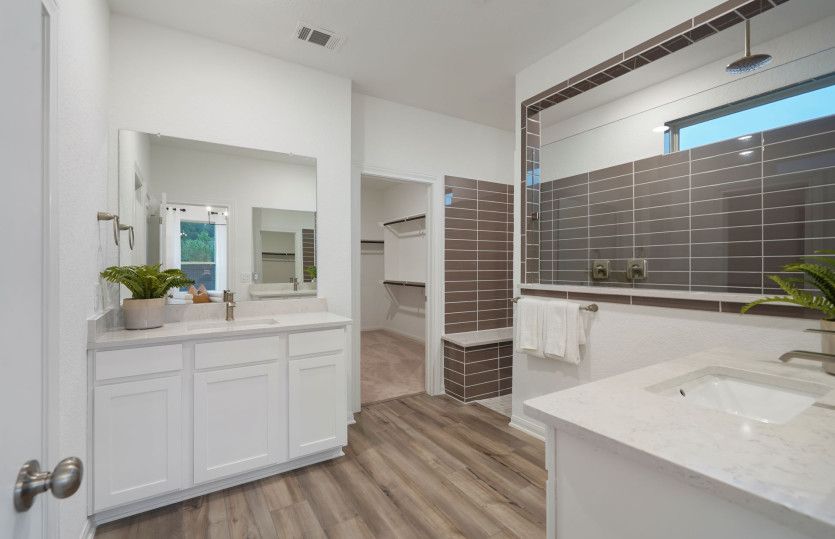 Owner's Bath