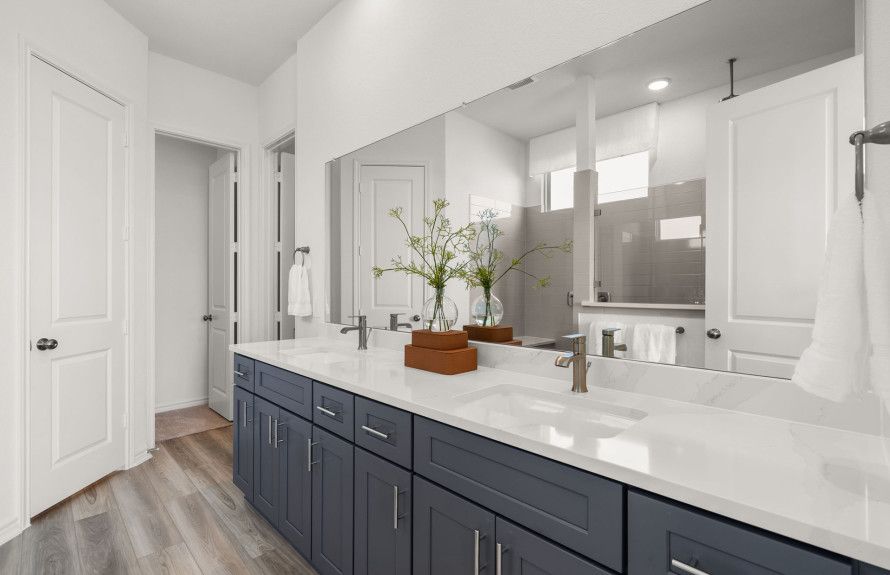 Owner's Bathroom