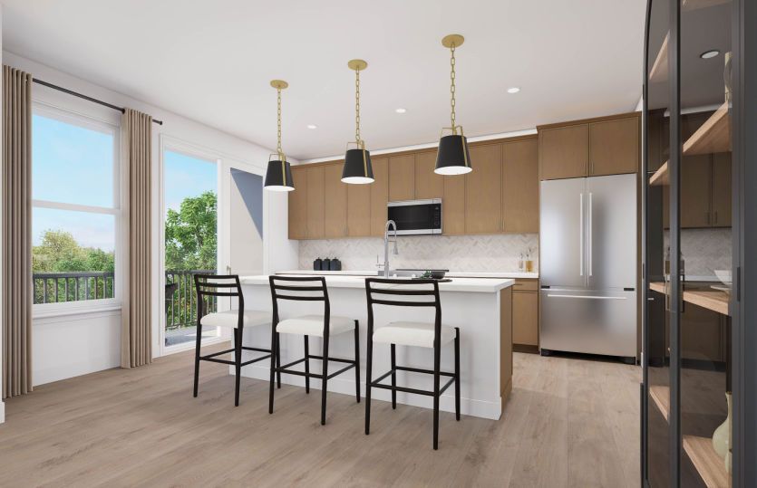 Gourmet Kitchen