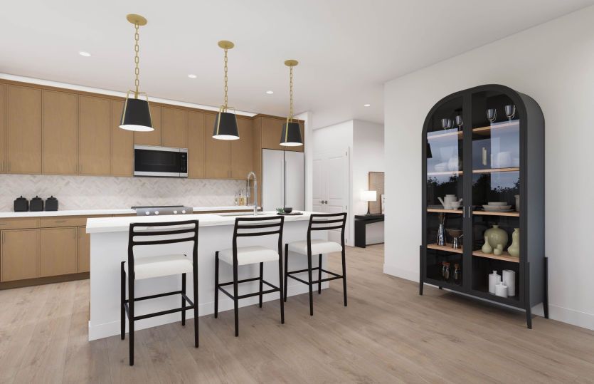Gourmet Kitchen