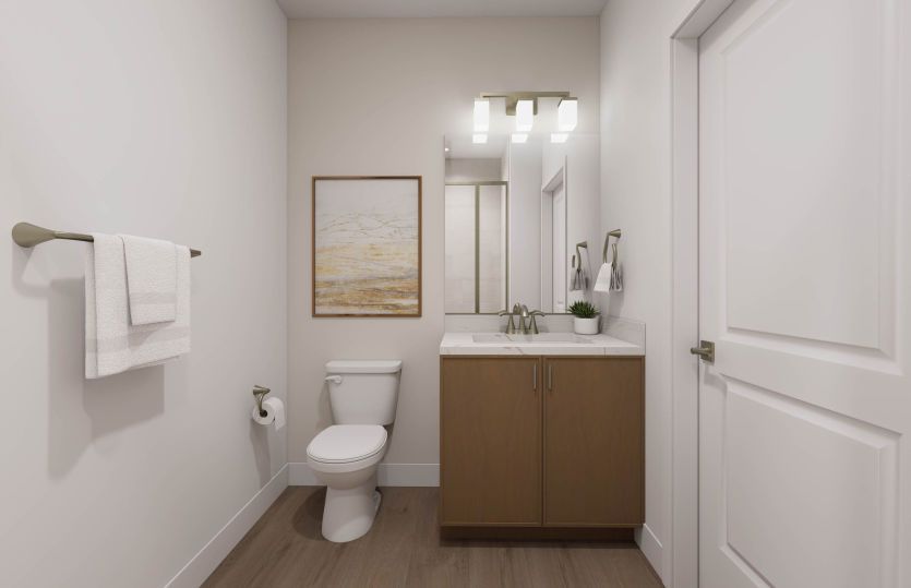 Secondary Bath with  Premium Finishes