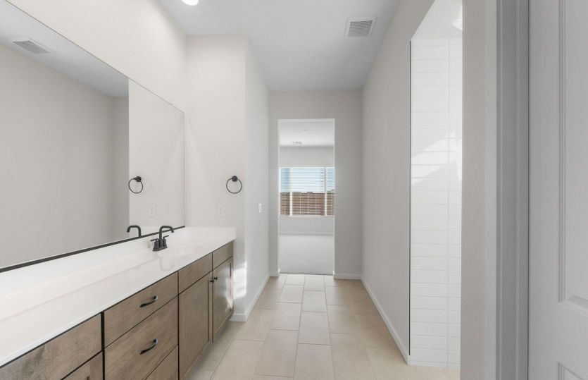 Owner's Bath