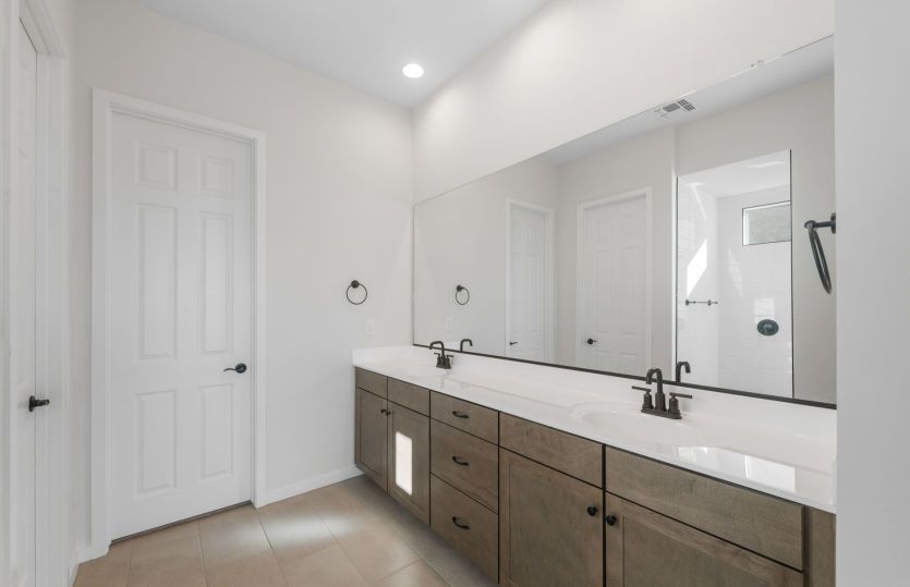 Owner's Bath