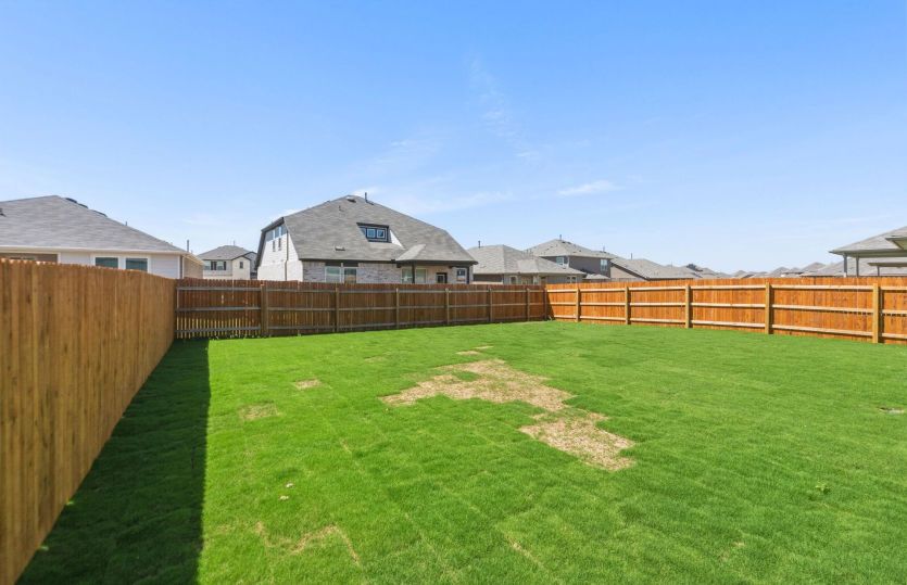 Backyard