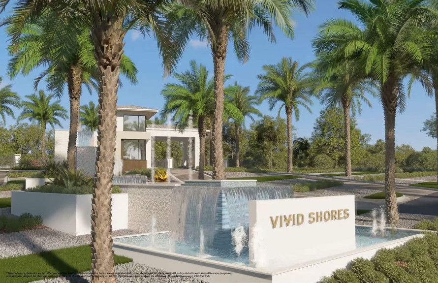 Vivid Shores
