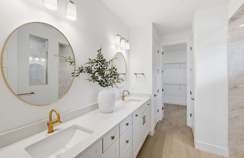 Owner's suite bathroom