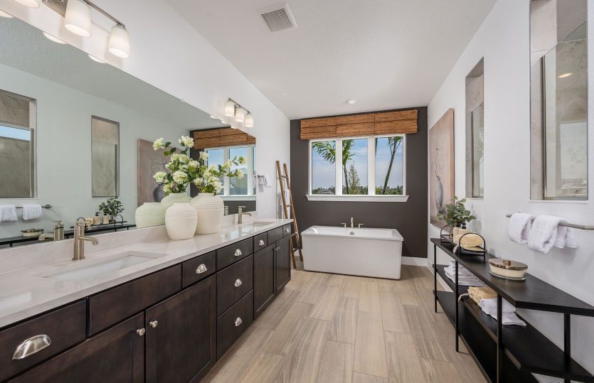 Owner's Bath