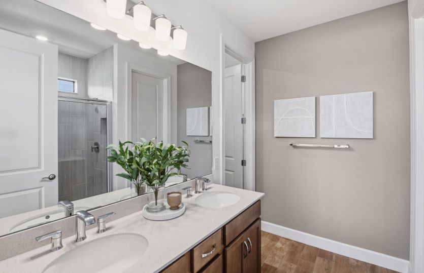 Owner's bathroom