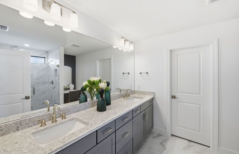 Owner's bathroom
