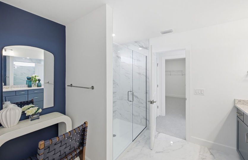 Owner's bathroom