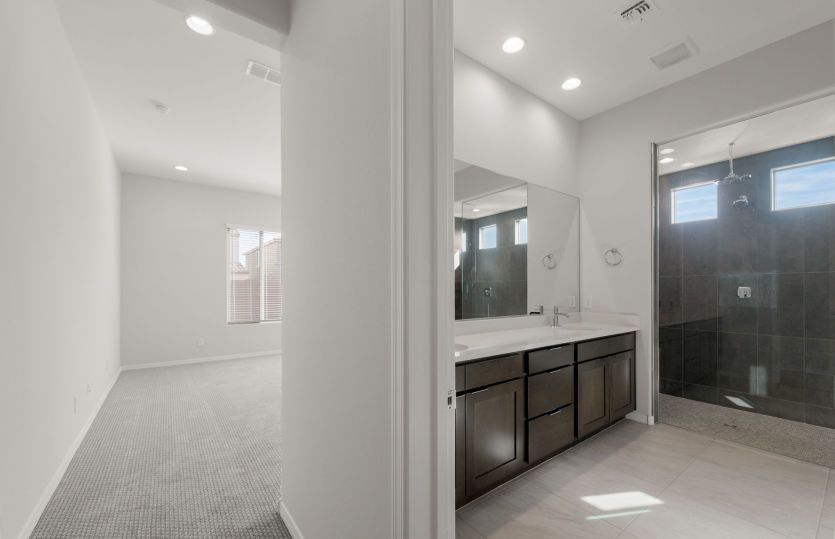 Owner's Bath