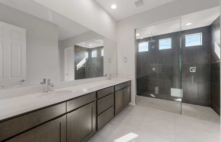 Owner's Bath