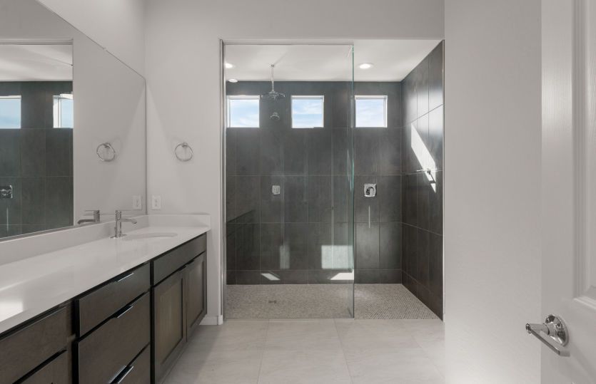 Owner's Bath