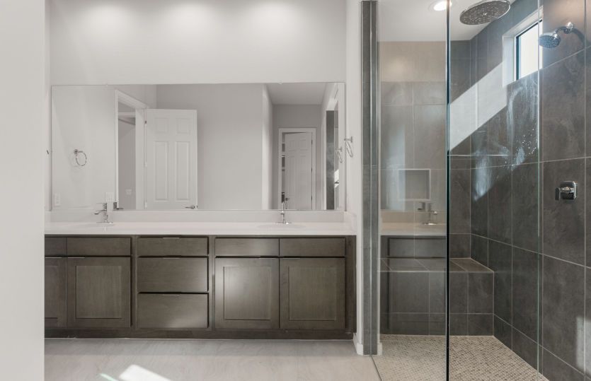 Owner's Bath